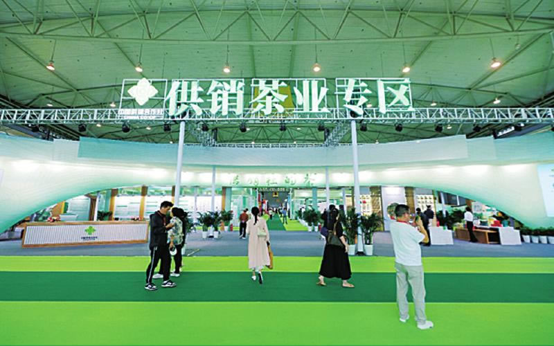 未命名-1.jpg