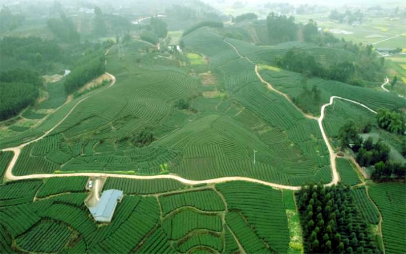 未命名-1.jpg
