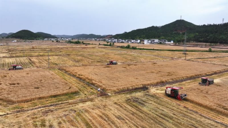 未命名-1.jpg