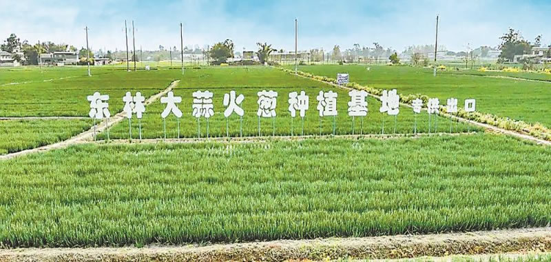 未命名-1.jpg