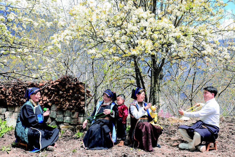 未命名-1.jpg