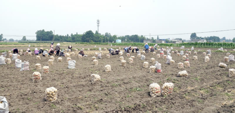 未命名-1.jpg