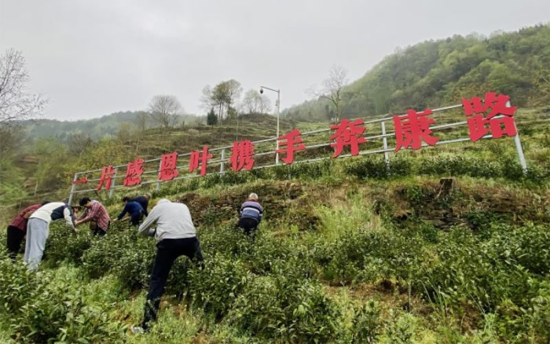 未命名-1.jpg