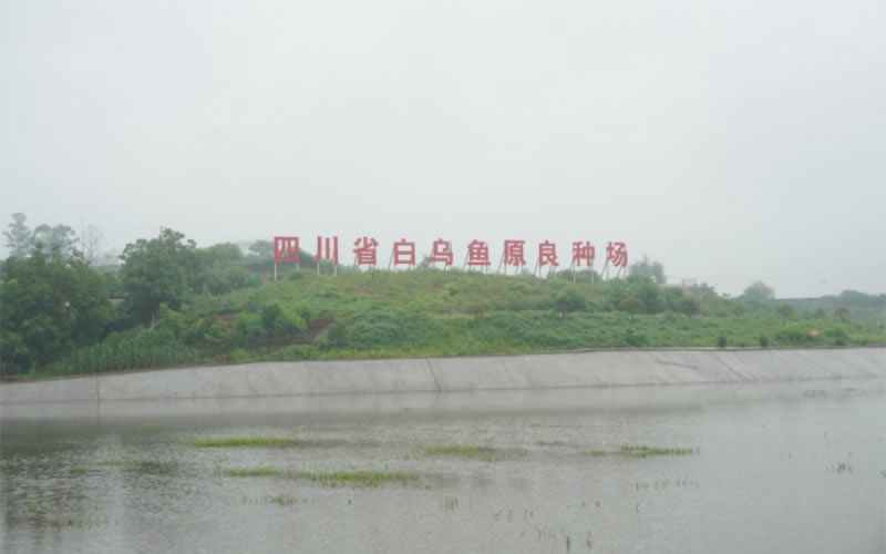 未命名-1.jpg