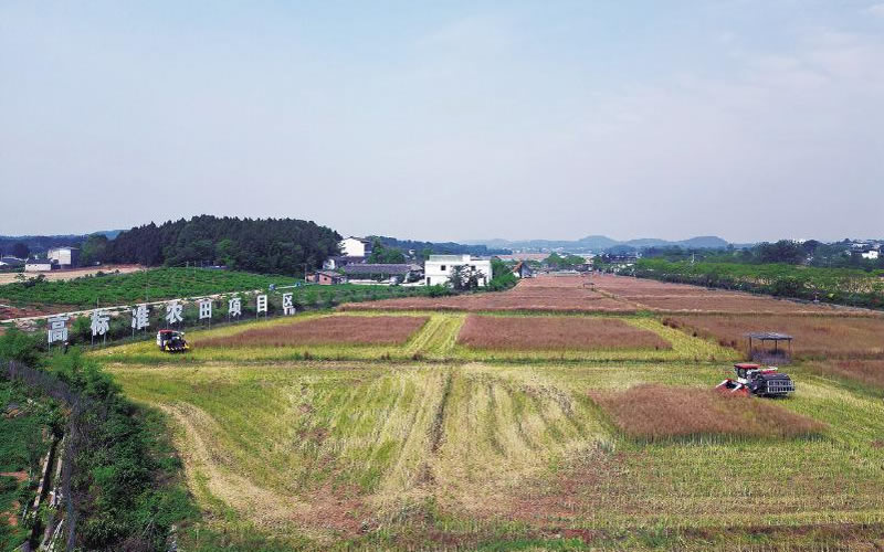未命名-1.jpg