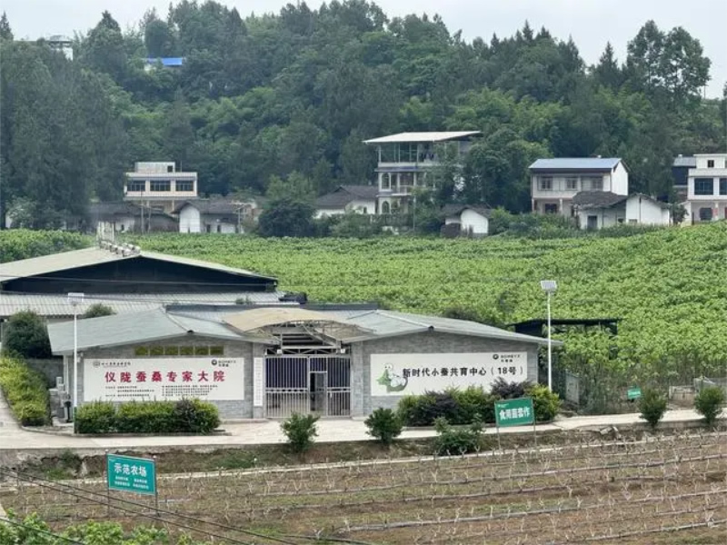 未命名-1.jpg