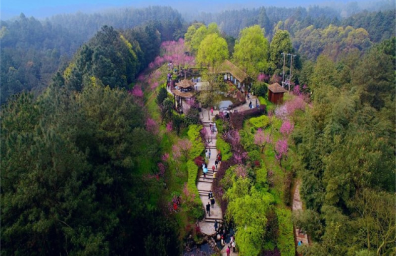 未命名-1.jpg