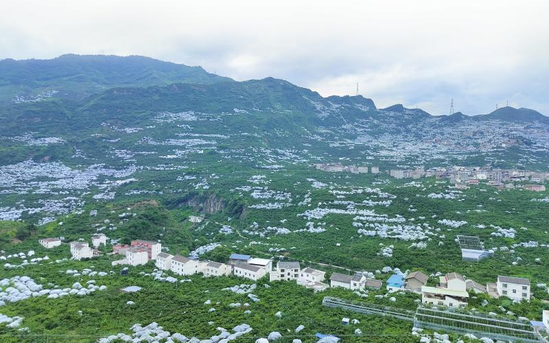 未命名-1.jpg