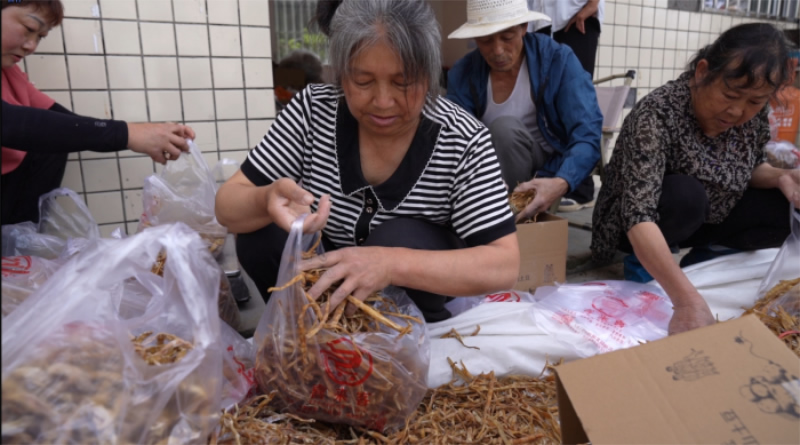 未命名-1.jpg