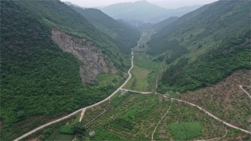 未命名-1.jpg