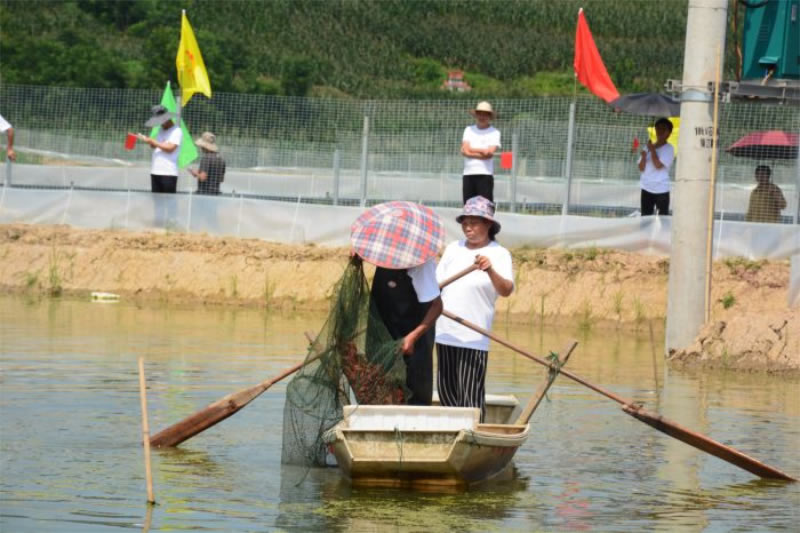 未命名-1.jpg