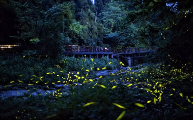 未命名-1.jpg