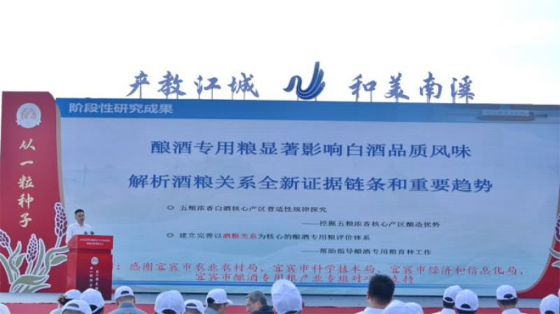 未命名-1.jpg