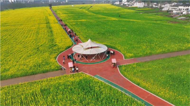 未命名-1.jpg