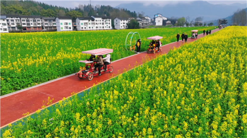 未命名-1.jpg