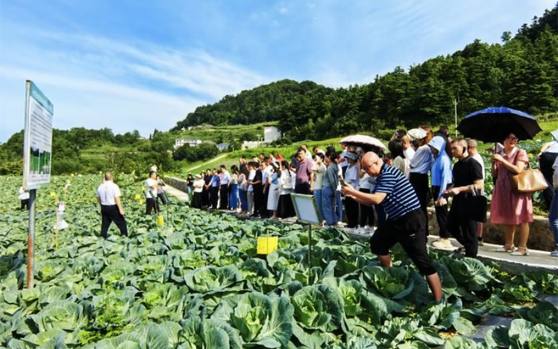 未命名-1.jpg