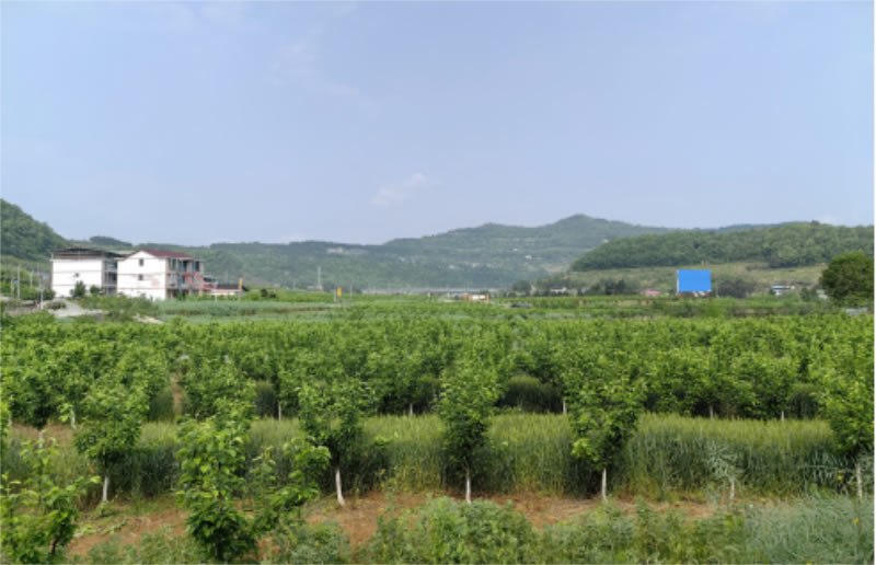 未命名-1.jpg