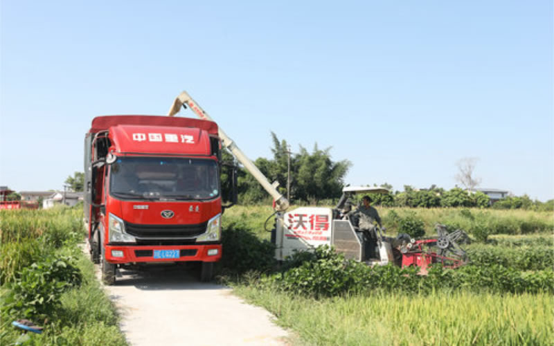 未命名-1.jpg