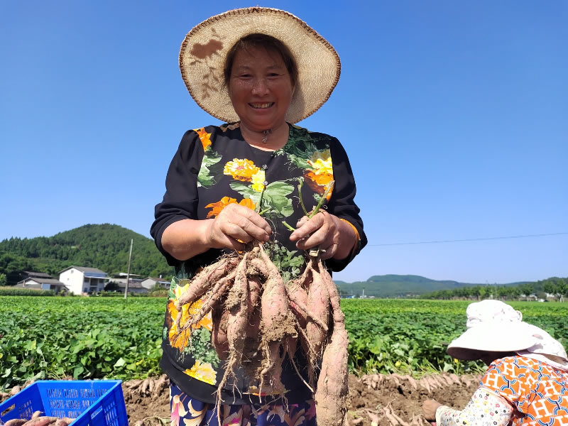 未命名-1.jpg