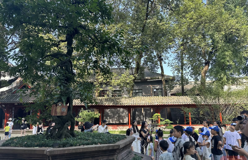未命名-1.jpg
