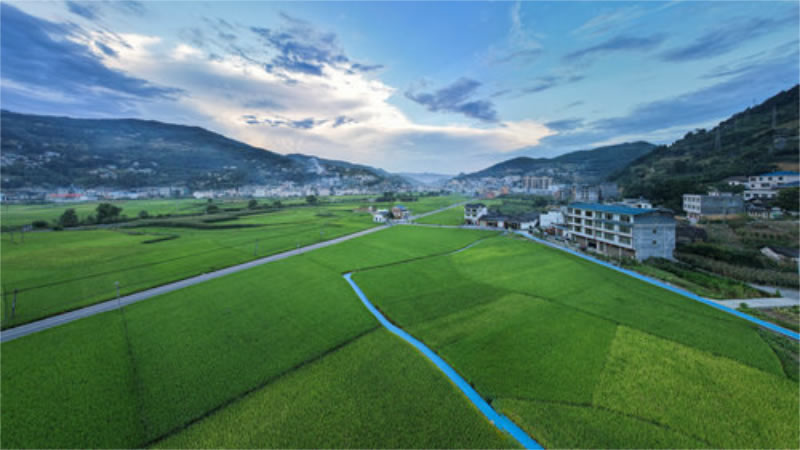 未命名-1.jpg