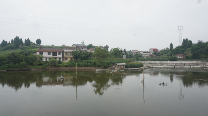 未命名-1.jpg