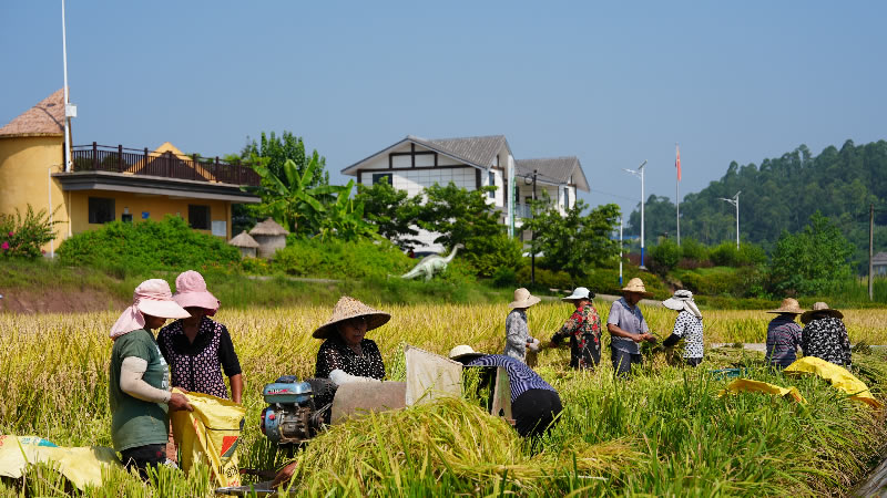 未命名-1.jpg