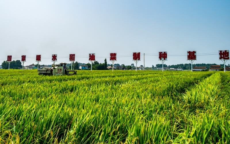 未命名-1.jpg