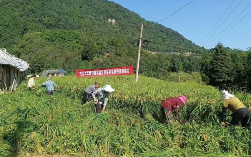 未命名-1.jpg