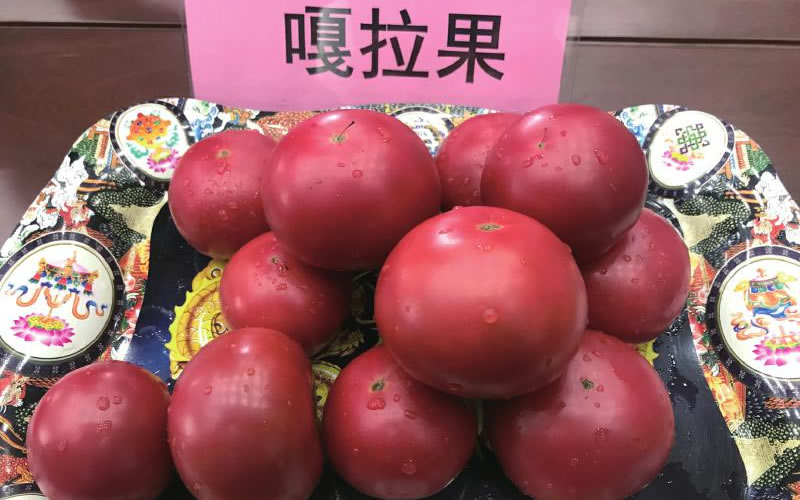 未命名-1.jpg