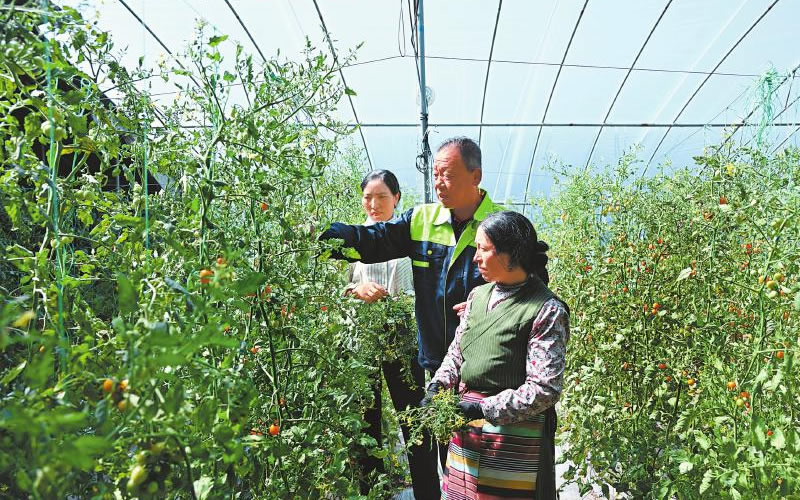 未命名-1.jpg