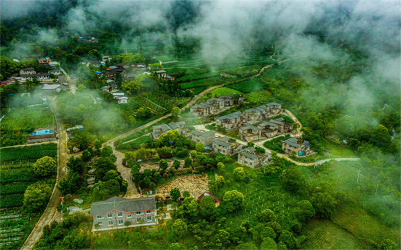 未命名-1.jpg