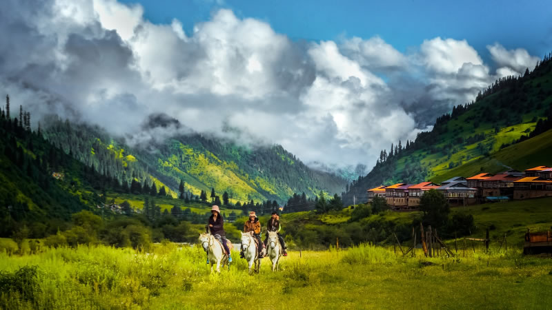 未命名-1.jpg