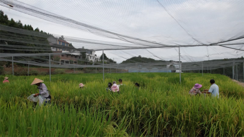 未命名-1.jpg