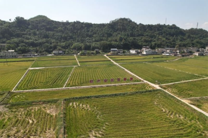 未命名-1.jpg