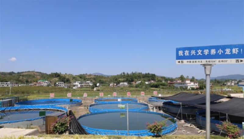 未命名-1.jpg