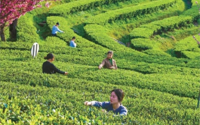 未命名-1.jpg