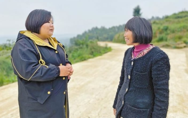 未命名-1.jpg