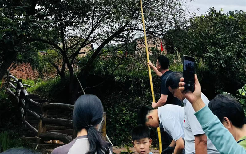 未命名-1.jpg