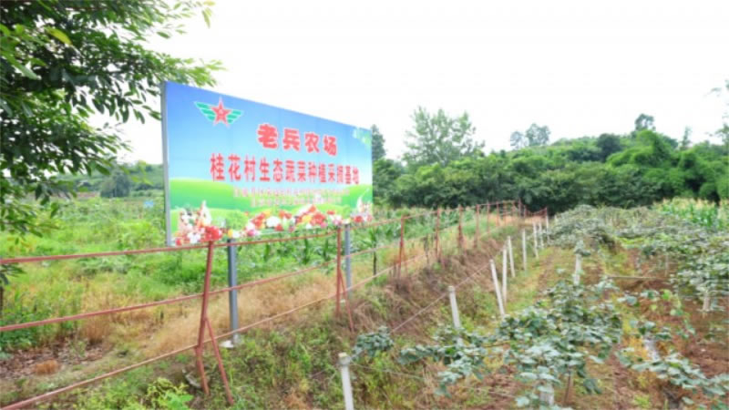未命名-1.jpg
