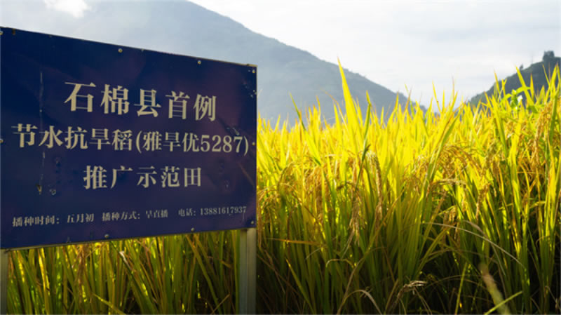 未命名-1.jpg