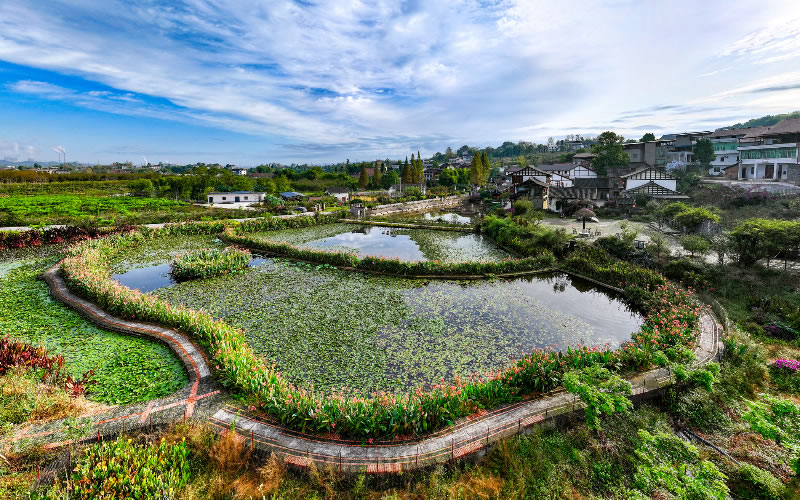 未命名-1.jpg