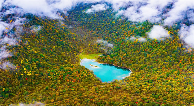 未命名-1.jpg
