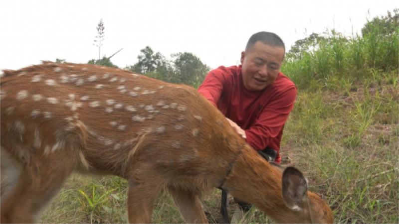 未命名-1.jpg