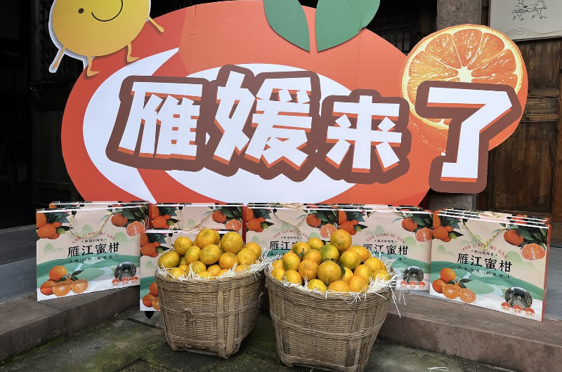 未命名-1.jpg