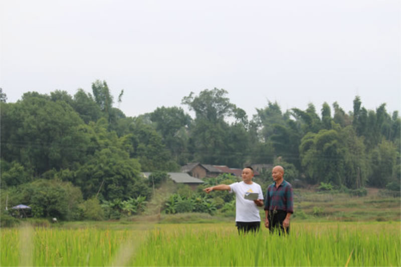未命名-1.jpg
