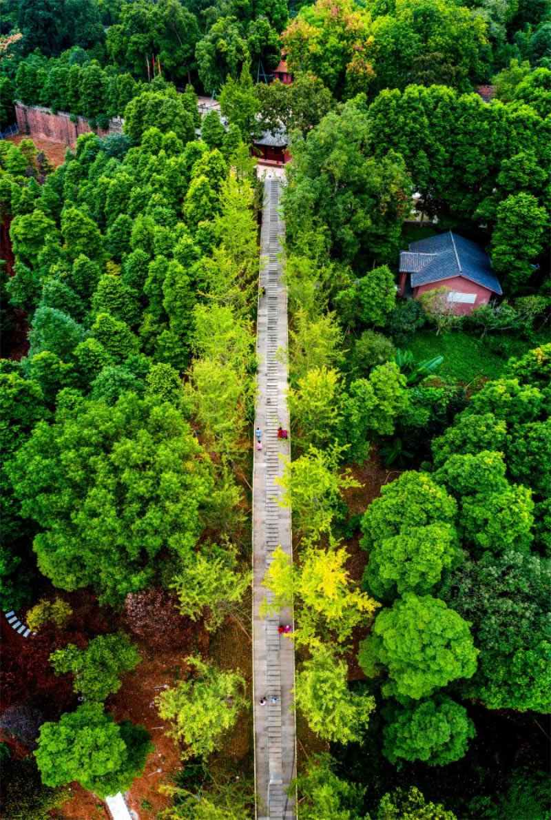 未命名-1.jpg