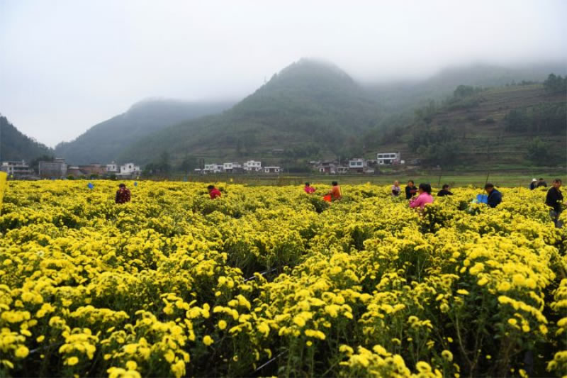 未命名-1.jpg