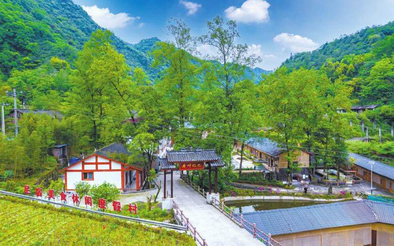 未命名-1.jpg