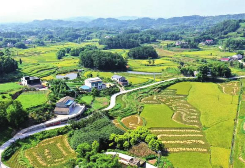 未命名-1.jpg